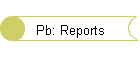 Pb: Reports