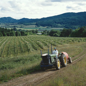 farmer on tractor in field