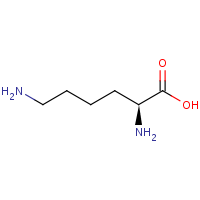 Lysine formula graphical representation