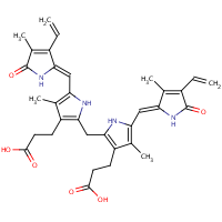 Bilirubin formula graphical representation