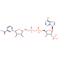 NADP formula graphical representation