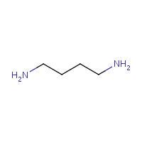 Putrescine formula graphical representation