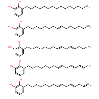 Urushiol formula graphical representation