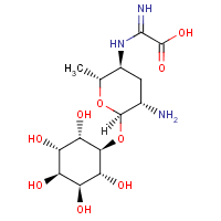 Kasugamycin formula graphical representation