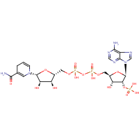 NADPH formula graphical representation